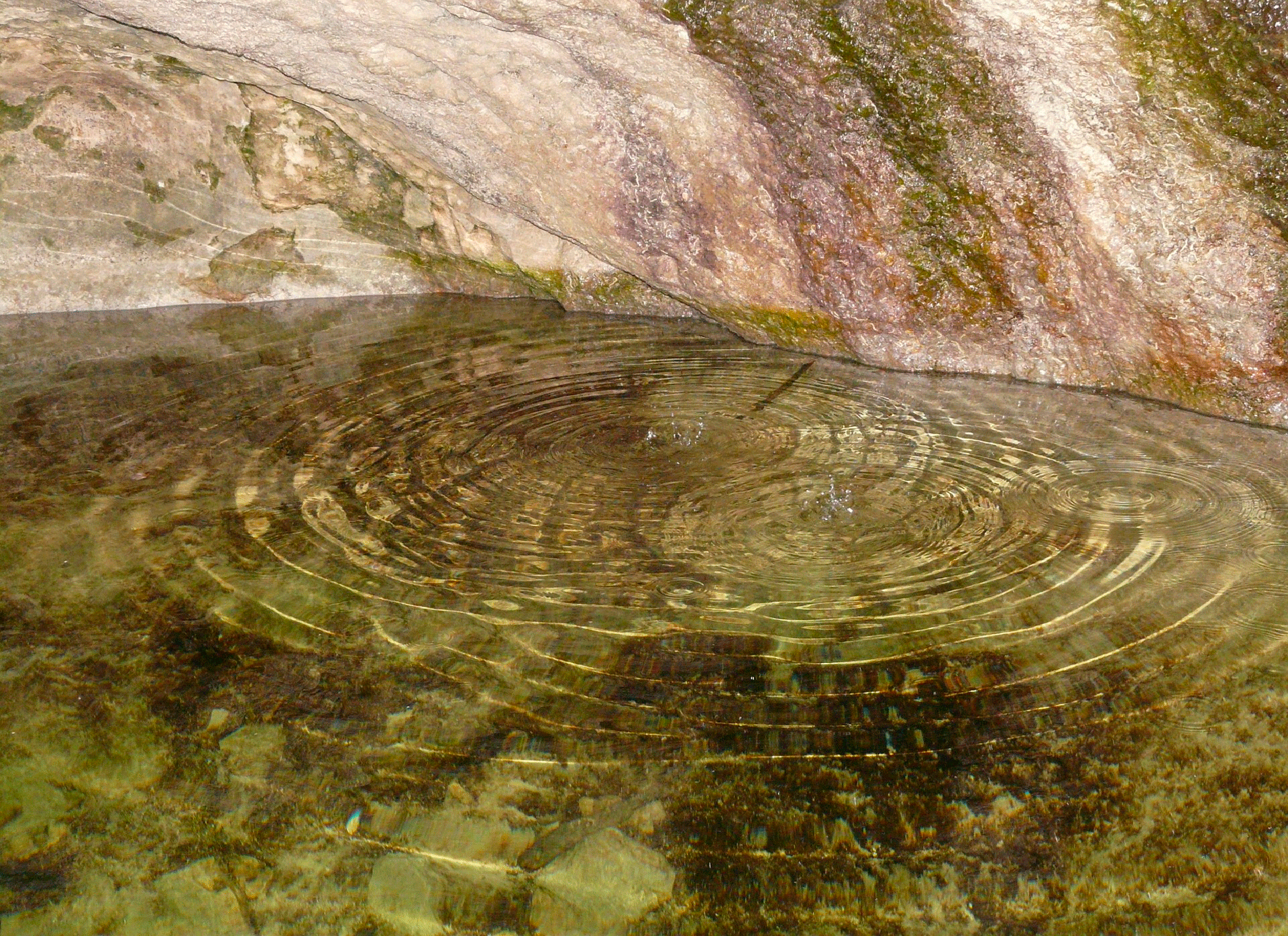 l'eau de pluie contribue au bon fonctionnement des nappes phréatiques nappe phréatique