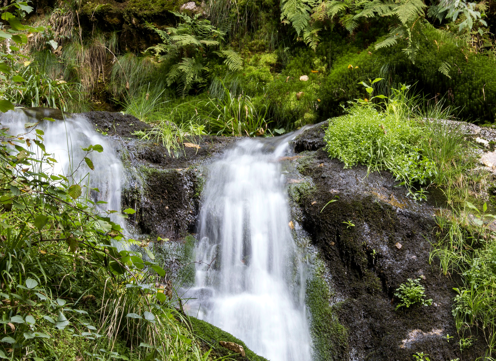 l'eau de pluie enrichit les sources d'eau source d'eau