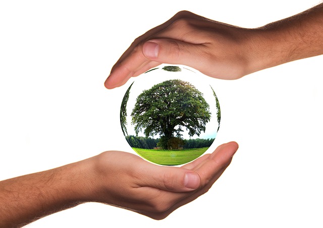 Récupérons l'eau pour préserver notre planete Récupérons l'eau pour préserver notre planete