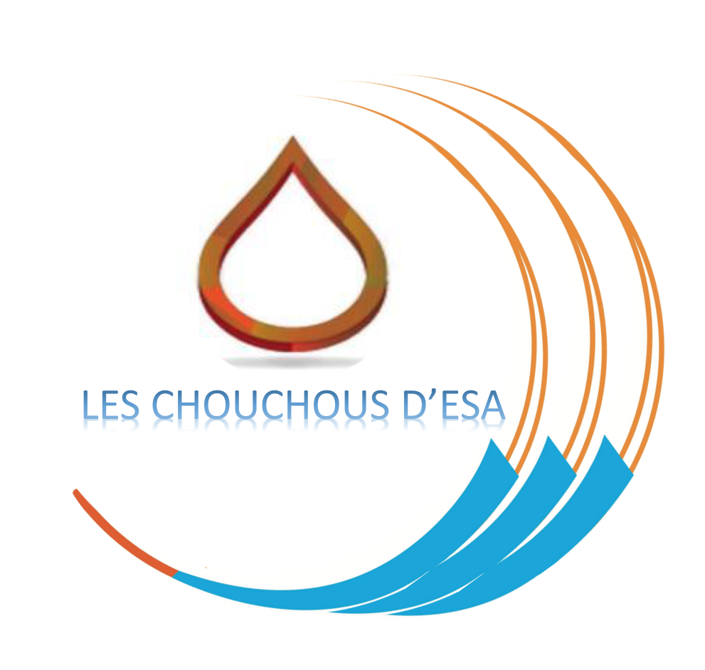 LOGO site e-commerce chouchousdesa.fr